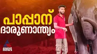 പാപ്പാനെ ആന ചവിട്ടി വെള്ളത്തിലിട്ട് തുമ്പിക്കൈ കൊണ്ട് അടിച്ചുകൊന്നു