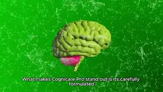 How Cognicare Pro Enhances Brain Power and Memory: Real Results!