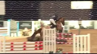 Croghan Hill Ace winning at Aintree winter classic