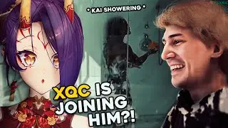 A Chef Reacts To XQCs Daily Life