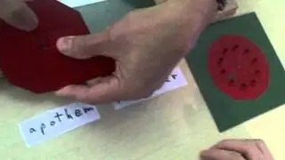 Red Polygon with a Student.wmv