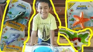 Growing Sea Animals Starfish Alligator Dolphin CUTTING OPEN ORBEEZ Funny Video Fun Hunter Kids #54