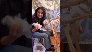 Hand Spinning Suri Alpaca Fiber Short Demo- Finer Fleece Spins into Finer Yarn