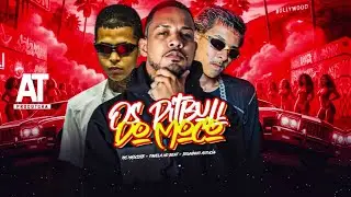 OS PITBULL DO MOÇO - FAVELA NO BEAT, BRUNINHO ASTUCIA E MC MASCOTE - REMIX BREGA FUNK