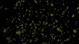 Animate green leaves flying around on a black background