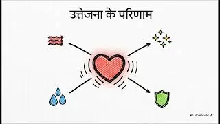 महिलाओं की ख्वाहिश: फोरप्ले क्यों है जरूरी? Women&rsquo;s Desire: Why Foreplay is Important?