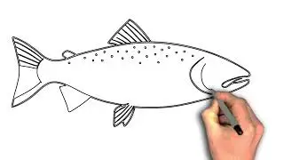 Atlantic salmon fish drawing image 