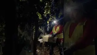 Napa Valley Night Harvest 2024