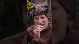 Kattene kan ikke selv skrive en bog, s&aring; Lisbeth Wulff og Rasmus Botoft har gjort det for dem 🐱