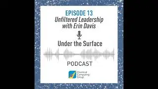 13. Unfiltered Leadership with Erin Davis