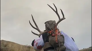 Language & Raw Emotion! Nevada Mule Deer Hunt 2023.