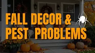 How Halloween Decorations Can Bring Pests Into Your Home (& What You Can Do)