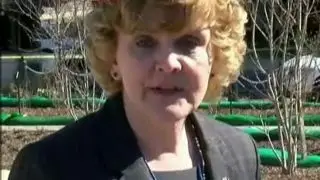 Official: No terror connection in Capitol Hill traffic stop