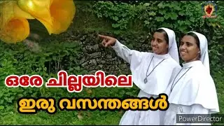 ഒരേ ചില്ലയിലെ ഇരു വസന്തങ്ങൾ.../Sr.Teena Maria & Sr.Reena Maria