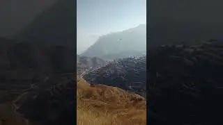 इतने सारे बाज़ कहां से आ गए हमारे गांव में🤔🤔🤔🥺