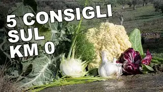 Cosa sapere sulle verdure a Km 0