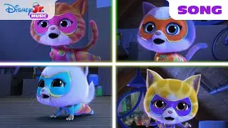 SuperKitties 