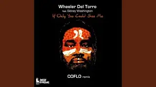 If Only You Could See Me (Coflo Remix)