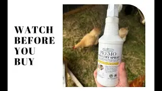 Premo Guard Poultry Spray Review | Natural Mite, Lice & Scaly Leg Treatment for Chickens