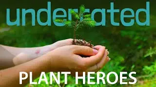 The EASIEST Plants for your Food Forest