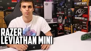RAZER LEVIATHAN MINI | LILIREVIEWS