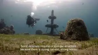 Ocean Man - A Man's Vision and Devotion to the Ocean