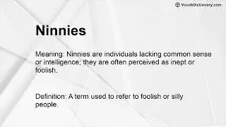 Ninnies Meaning