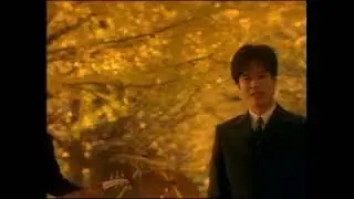 FIELD OF VIEW - Dreams (QHD Remastered Video)