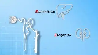 Introduction to PK - Clearance