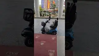 When you ring for a taxi in Benidorm 🤣 #Benidorm #cutedog #travel #funny #taxi