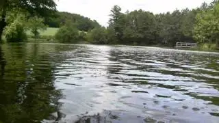 P1140529