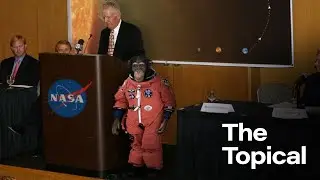 NASA Announces Plans To Launch Chimpanzee Into Sun