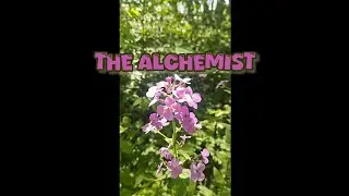 The Alchemist - H.P. Lovecraft | HORROR STORY| reading