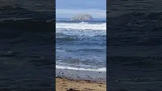 The Mighty Bass Rock: Where the Ocean Roars!