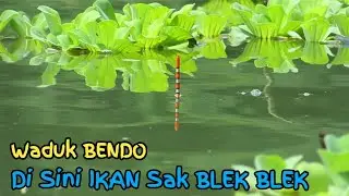 ISTIMEWA❗Sensasi Ikan Sak BLEK BLEK WADUK BENDO PONOROGO