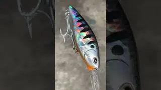 Storm So Run Kick Shad 75mm
