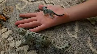 The Chameleon Grants Three Wishes