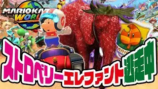 レースで勝利しないと苺ゾウの怪物に襲われる！？イタリアンブレインロットから逃走中！人気のストロベリーエレファント　マリオカートワールド（アナケナ）このはカップ150ccで勝利を掴め！
