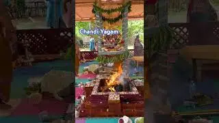Chandi Yagam ,Cary North Carolina #music #ekadashi #chandiyagam #pravachanalu #durgapuja #ayudhapuja