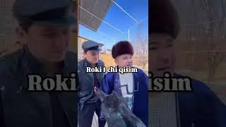 #dakan parvozlar uchun maxsus aka ukalar layk va patpiska esdan chiqmasin a