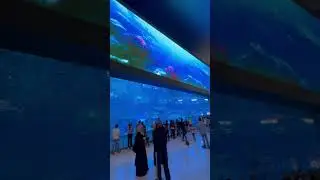 Dubai Aquarium #fyp #dubai #dubaimall #burjkhalifa #dubaiaquarium #dubailife  #dubaiwalks