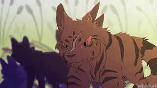 warrior cats animash ~ DRAGONS AWAKENING