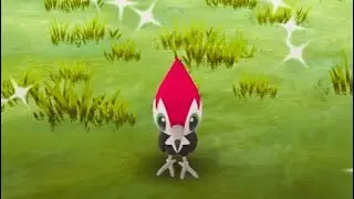 Pikipek Community Day! This is What I Got! (Pok&eacute;mon Go)