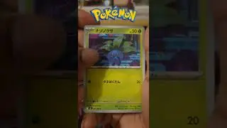 POKEMON - 