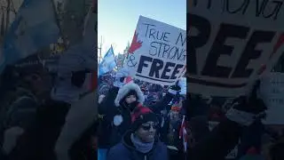 Freedom Convoy Ottawa 2022 - January 29, 12:15 PM