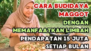 CARA BUDIDAYA MAGGOT DENGAN MEMANFAATKAN LIMBAH‼️ PENDAPATAN 15 JUTA SETIAP BULAN‼️