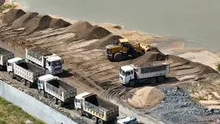 Landfill Project Incredible ! Skills SHANTUI Dozer Push Stone, TRUCK Filling In Lake