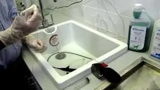 VES Veterinary Bronchoscope Leak test, Cleaning and Disinfection.