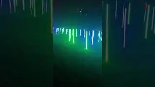 Kings Park LightScape