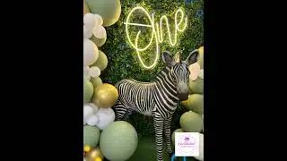 Professional Balloon Decorators in Bristol for all your parties and wedding decorations needs.